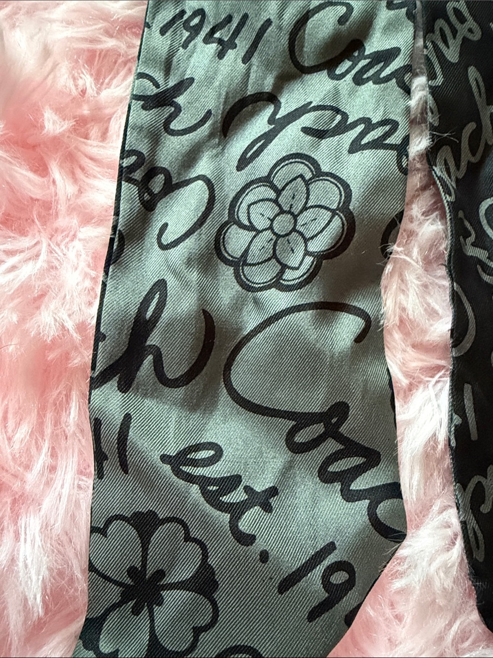 Coach Scarf - Picture 3 of 6